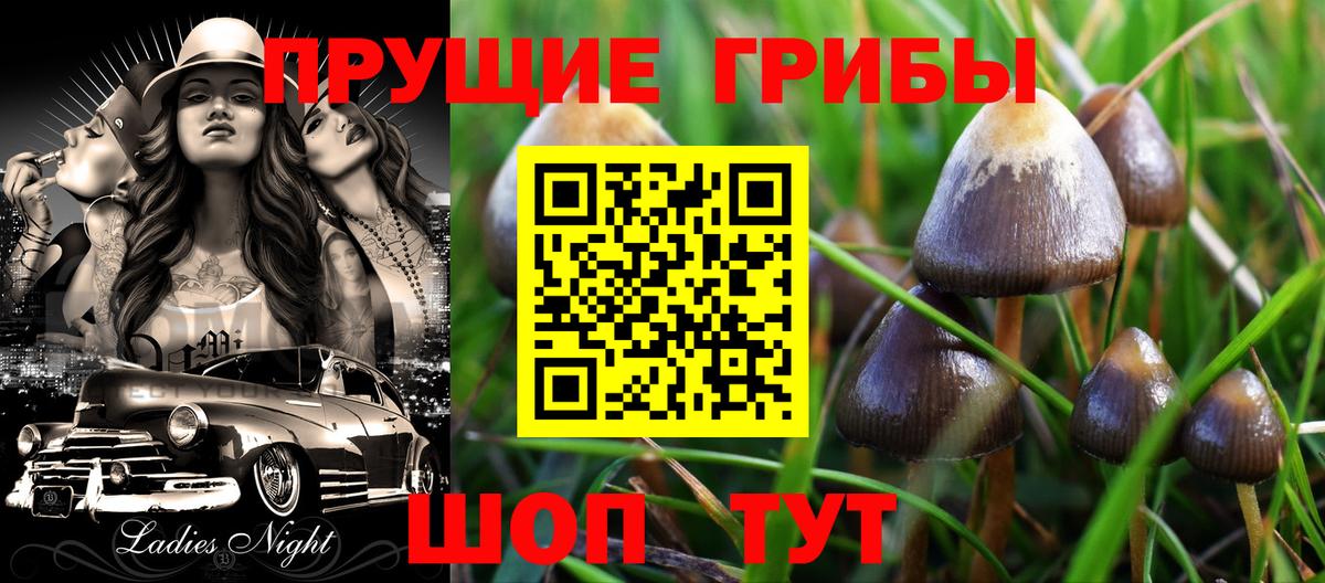 Псилоцибиновые грибы Magic Shrooms Анапа