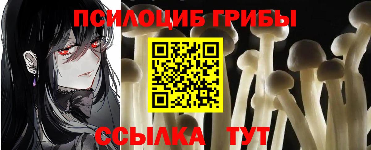 Анапа  Галлюциногенные грибы ЛСД  где найти   Вход с VPN 